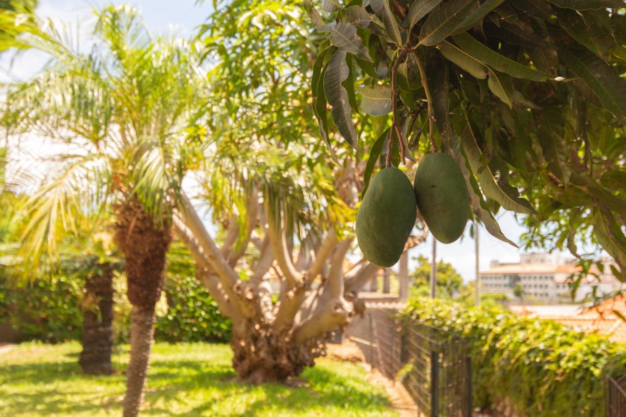 Pilar House Villa Funchal  Kültér fotó